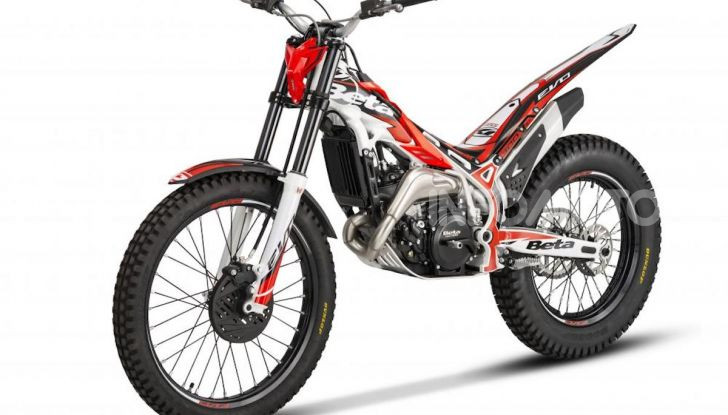 Beta Evo MY 2020: l’esperienza del racing in un gioiello da trial - Foto 6 di 7