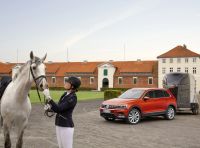 Volkswagen: la T-Family al completo alla prima edizione di Cavalli a Roma