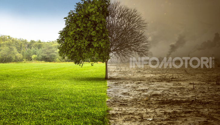 Inquinamento terra albero