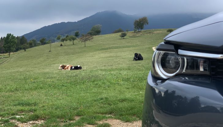 [VIDEO] Mazda MX-30, la prova consumi del SUV Elettrico - Foto 6 di 22