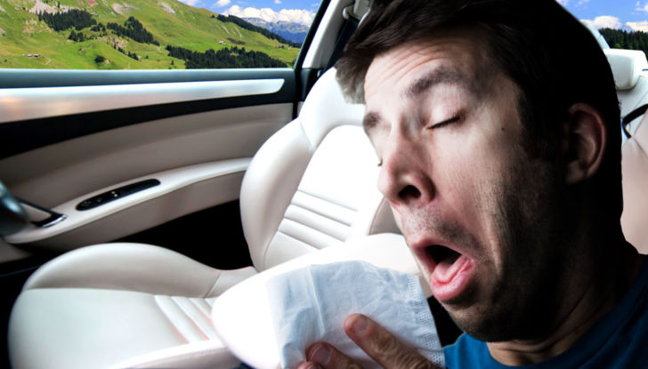 Allergia primavera auto