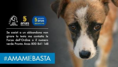 #AMAMIeBASTA, la campagna di Anas contro l’abbandono di animali