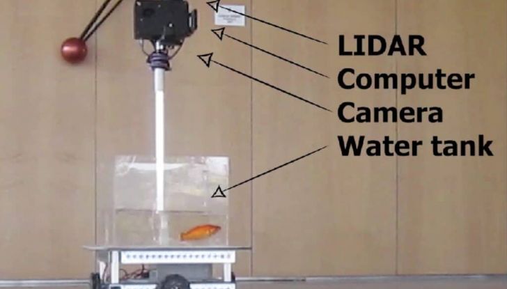 Il futuro della guida autonoma sperimentato da… un pesce rosso! - Foto 3 di 4