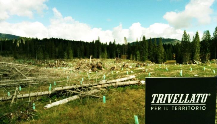 Trivellato Mercedes Benz 100 anni