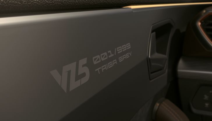 Cupra Formentor VZ5: in arrivo la versione speciale Taiga Grey - Foto 5 di 5