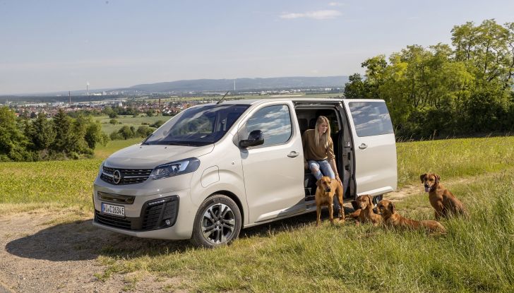 Opel Zafira e-Life: il veicolo perfetto per gli amici a quattro zampe - Foto 3 di 7