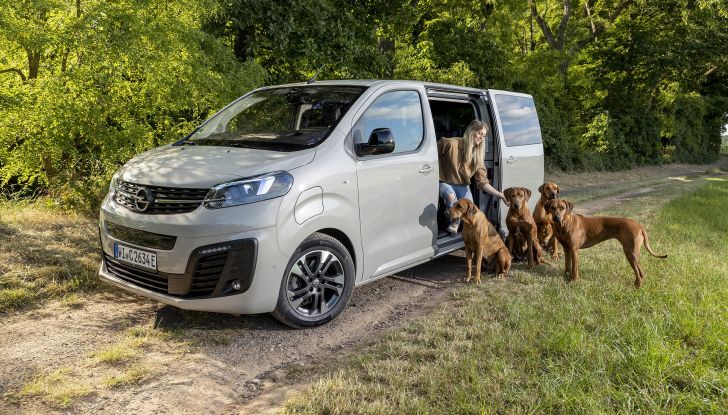 Opel Zafira e-Life: il veicolo perfetto per gli amici a quattro zampe - Foto 4 di 7