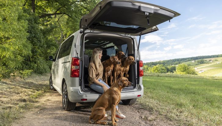 Opel Zafira e-Life: il veicolo perfetto per gli amici a quattro zampe - Foto 5 di 7