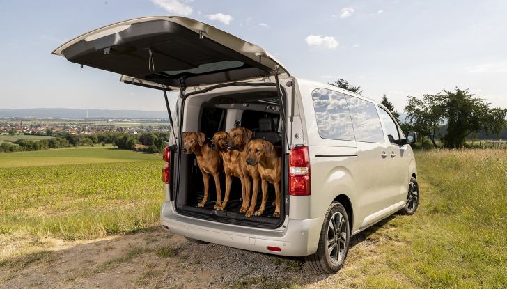 Opel Zafira e-Life: il veicolo perfetto per gli amici a quattro zampe - Foto 7 di 7