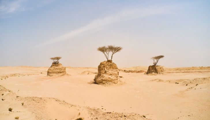 GIMS Qatar: il Motor Show di Ginevra reinventa il Salone dell’auto - Foto 15 di 18