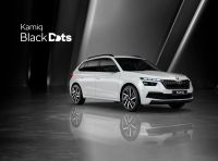 Skoda Kamiq: l’edizione speciale Black Dots in Italia da 25.350 Euro