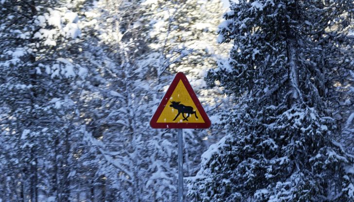 BMW i5: la prima Serie 5 100% elettrica conclude i test invernali - Foto 54 di 89