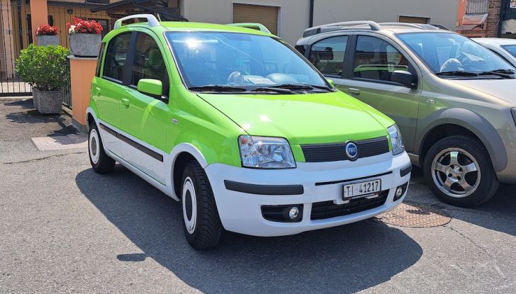 Panda a Pandino 2023: firmato un nuovo record - Foto 13 di 22