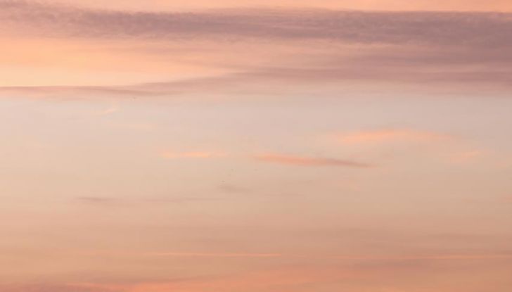 Renault Trafic Van E-Tech Electric: l’iconico furgone diventa 100% elettrico - Foto 74 di 134