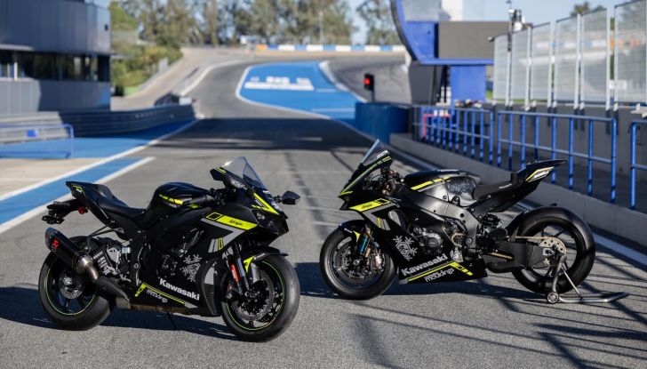 Kawasaki Ninja ZX-10RR Winter Test Edition