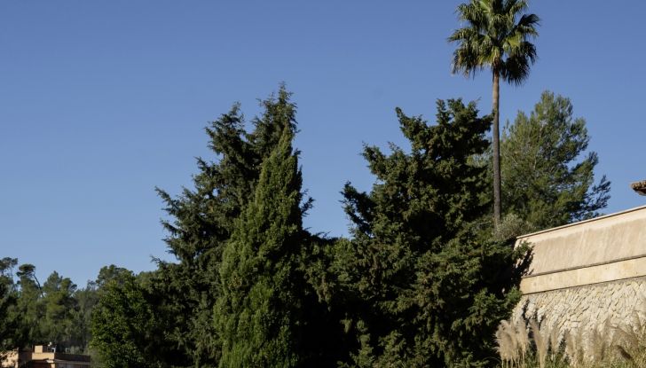 Volkswagen ID.3 GTX e ID.7 GTX Tourer: debuttano le due nuove sportive elettriche - Foto 38 di 85