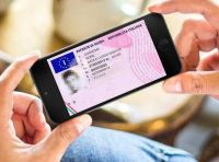 Controllo punti patente: i metodi per verificare il saldo