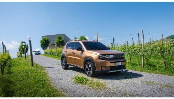 FIAT Grande Panda 1.2 Business 100cv in offerta con noleggio a lungo termine - Foto 10 di 13