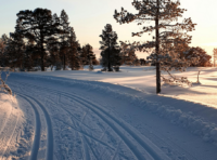 Spazi di frenata invernali aumentano fino a 7 metri con ammortizzatori usurati
