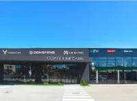 Guagliumi Cars: parco auto vastissimo e la certezza dell’usato selezionato